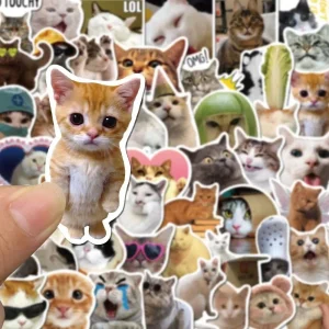 Photo Sticker Collection